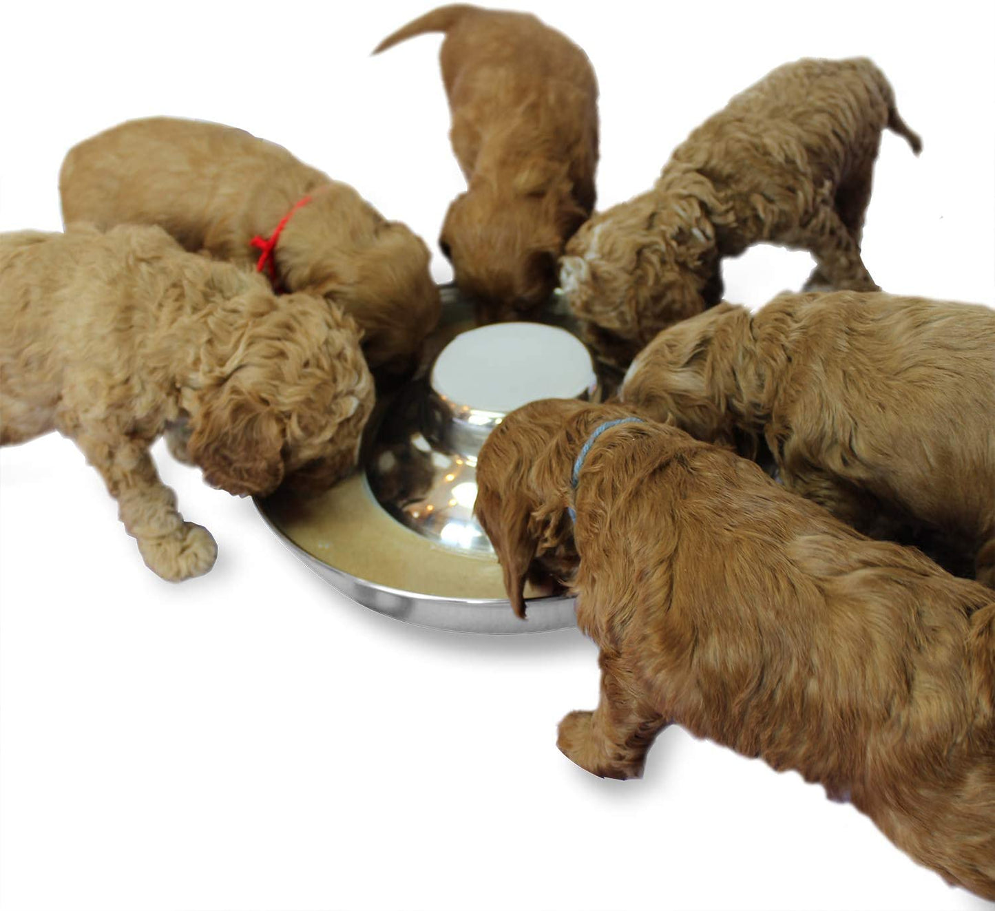 Stainless Steel Puppy Dog Bowls 2 Pack, Pets Puppies Feeding Food and Water Weaning Bowls Dishes Feeder, 11.8 Inch
