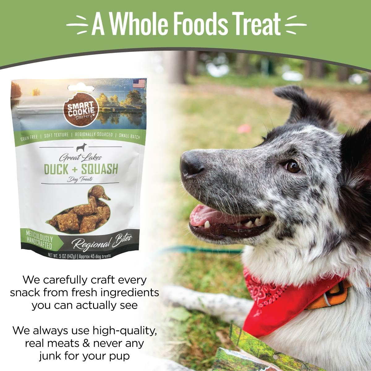 All Natural Soft Dog Treats - Duck & Squash - Training Treats for Dogs with Allergies or Sensitive Stomachs - Grain Free Dog Treats, Chewy, Human-Grade, Made in USA - 5Oz Bag