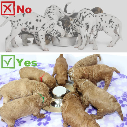 Stainless Steel Puppy Dog Bowls 2 Pack, Pets Puppies Feeding Food and Water Weaning Bowls Dishes Feeder, 11.8 Inch